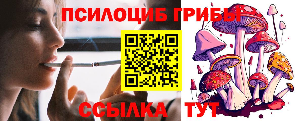 Псилоцибиновые грибы мицелий  дарнет шоп  Черногорск  Вход с VPN 